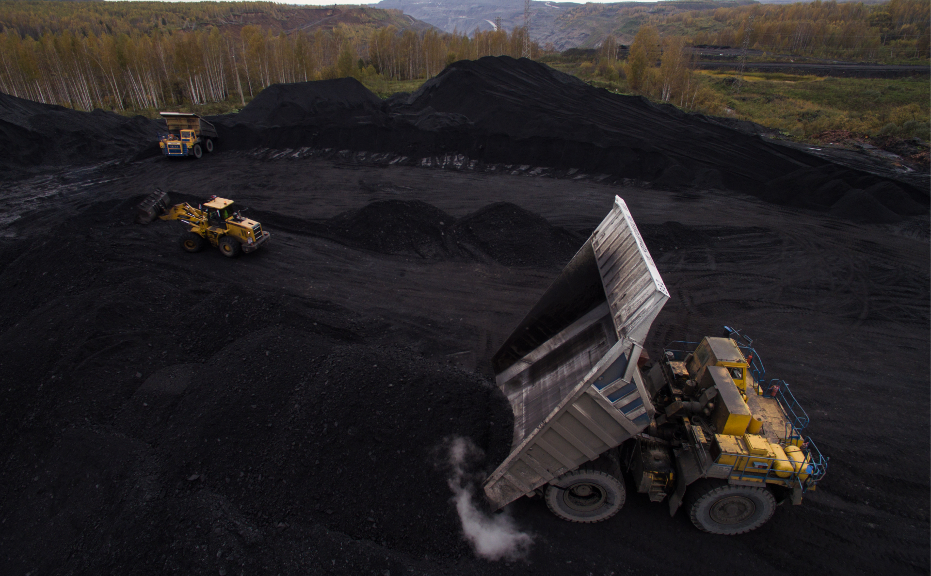 Путин поручил ФСБ помочь с экспортом угля