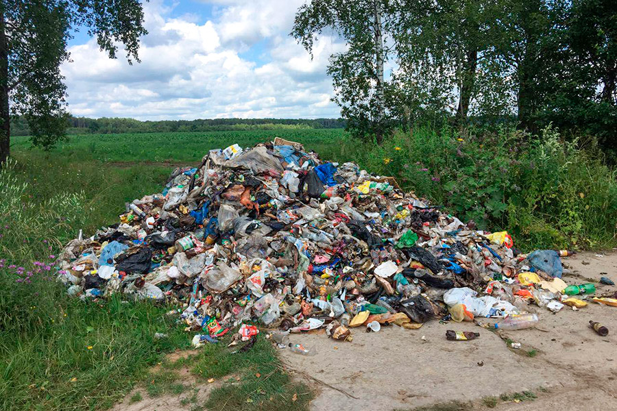 Бросили мусор: почему в Подмосковье перестали вывозить отходы