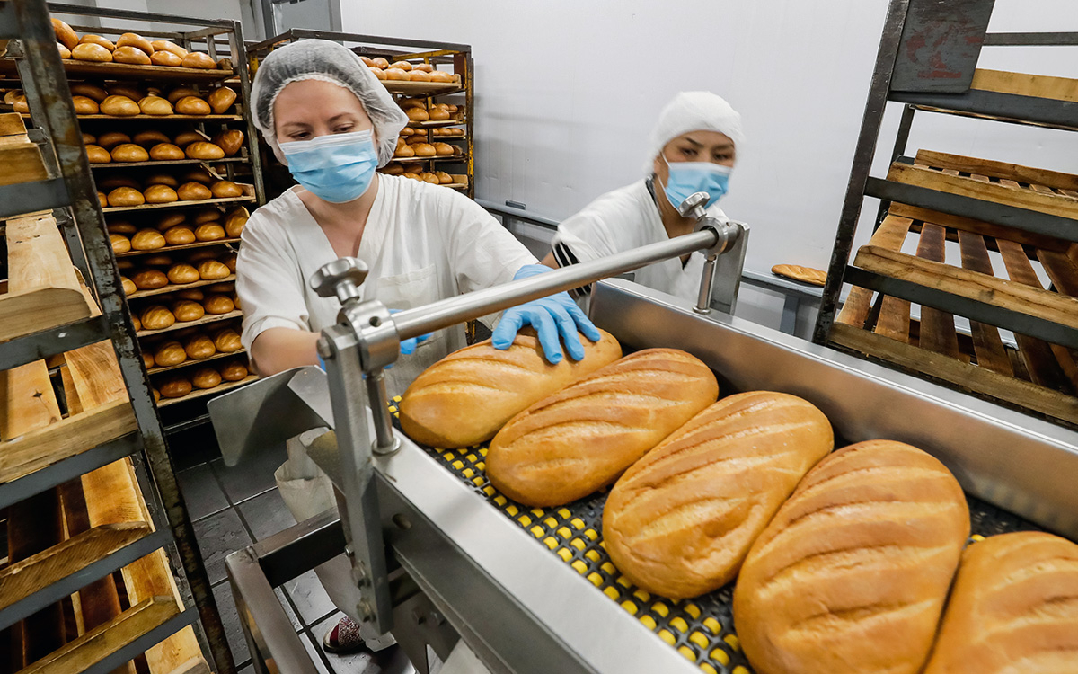 Пищевая промышленность хлеб