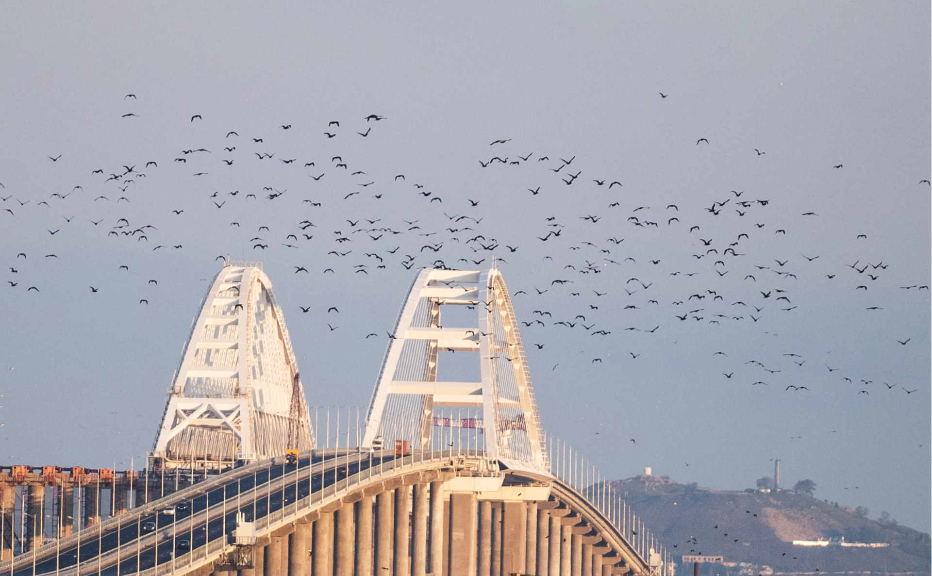 СМИ узнали о планах перекинуть строителей Крымского моста на порт Тамань