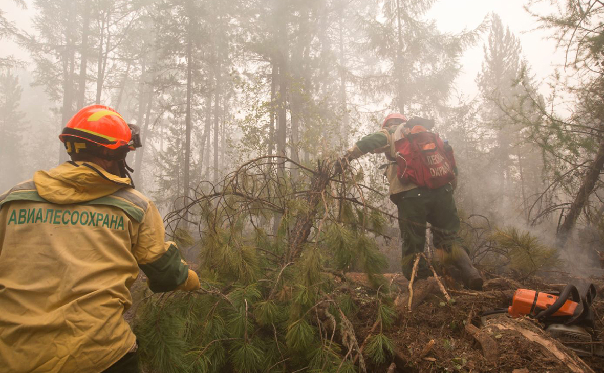 В Югре ввели режим ЧС из-за пожаров в лесах