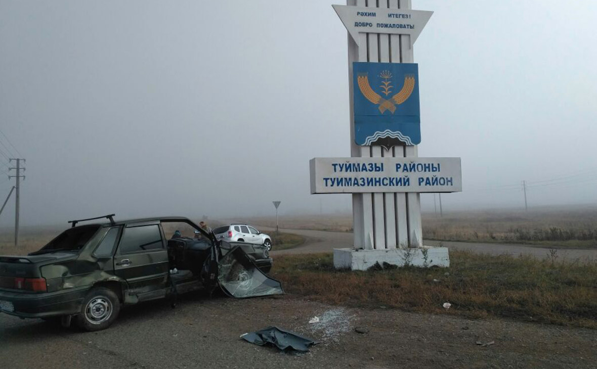 - ElkNews.ru