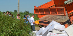 Фото: пресс-служба управления Россельхознадзора по Белгородской области