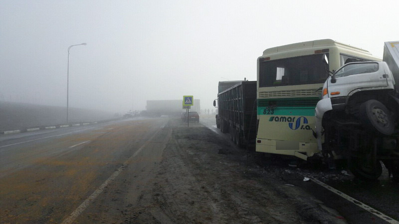  ��� ���������� ���� ��������� 14 ����������� ���������� ������ �������� 