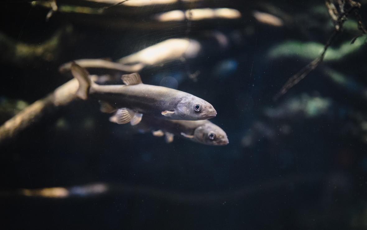 Фото: ru.freepik.com