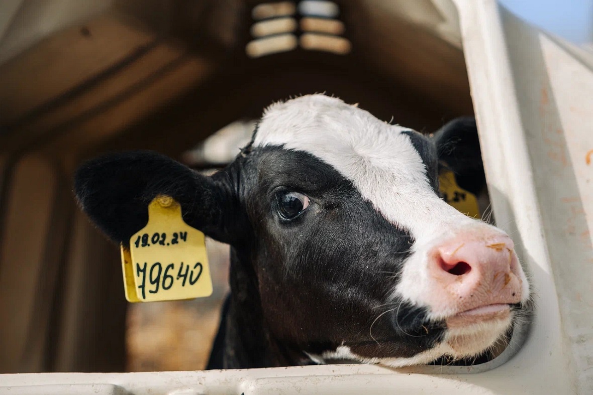 фото: агрохолдинг «Степь»