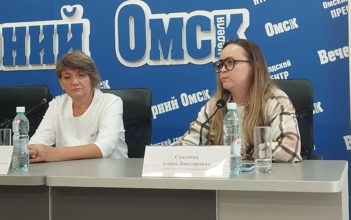 Фото: Вячеслав Кумпан