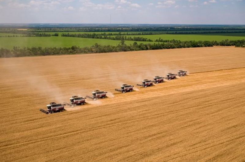 Фото предоставлено Агрохолдингом «СТЕПЬ»