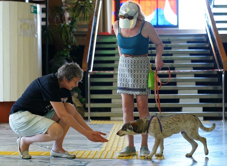 В Волжском протестировали собак для участия в волонтерском проекте