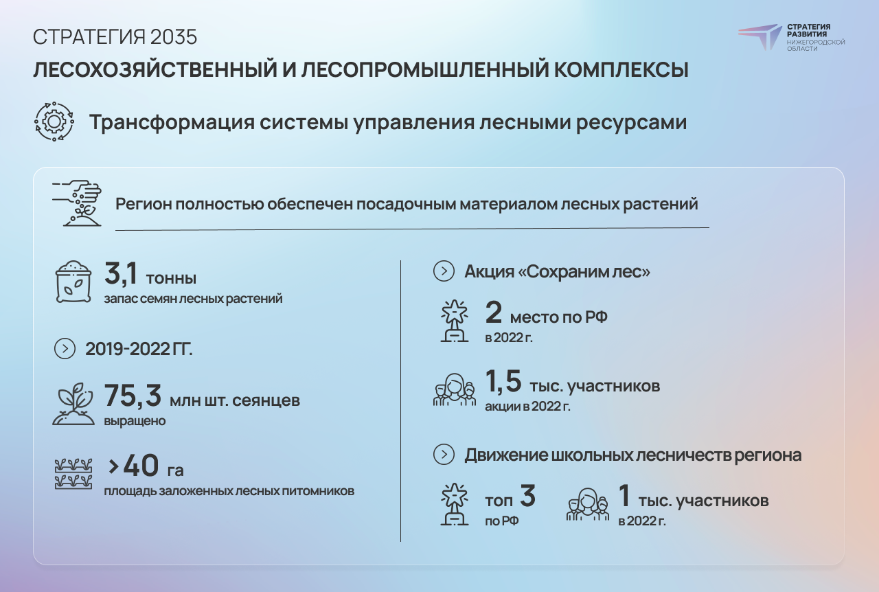 «Наше богатство». Стратсессия по экологии прошла в Нижнем Новгороде