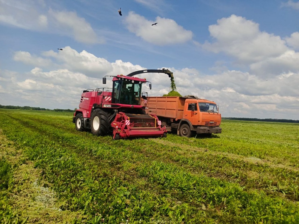 Агрохозяйство «Каменское» завершило уборочную кампанию