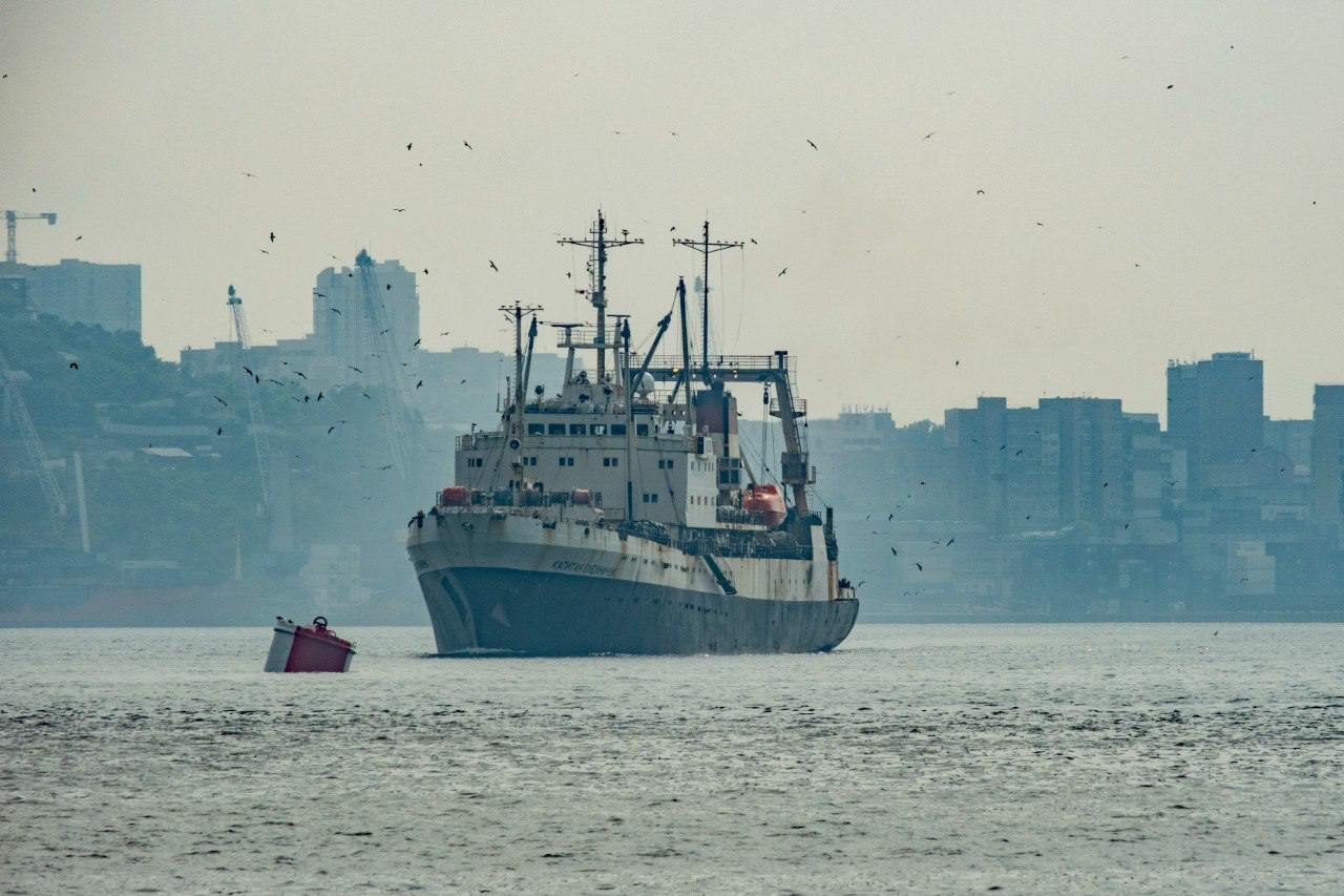 В 2030 году рыбный промысел в ДФО может оказаться под угрозой — эксперты