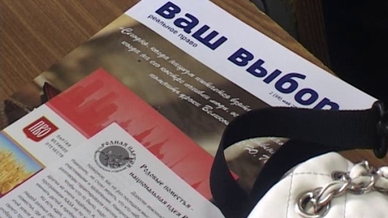 Организаторов выборов на Дону призвали к «государственному подходу»