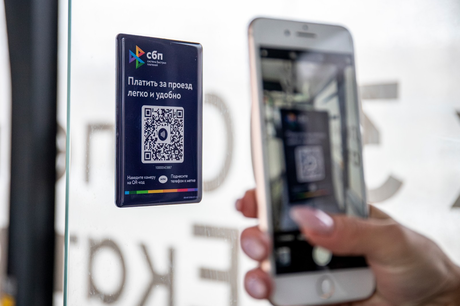 В Тюменской области до конца года действует скидка при оплате через СБП