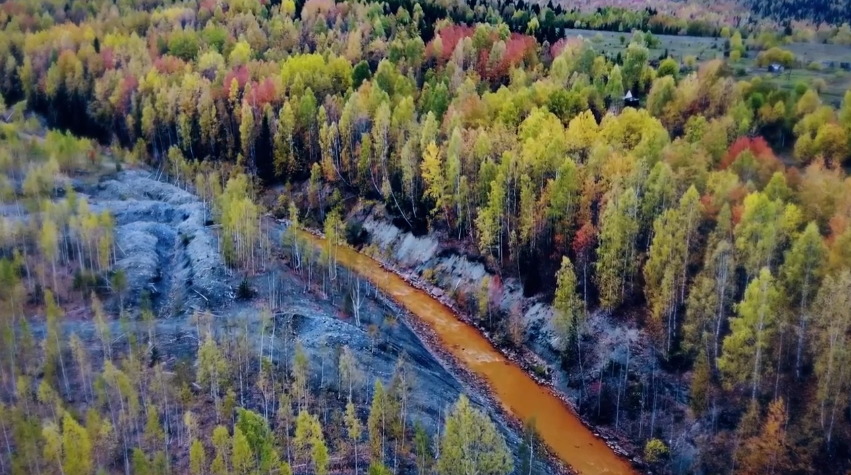 Фото: Пермский НОЦ