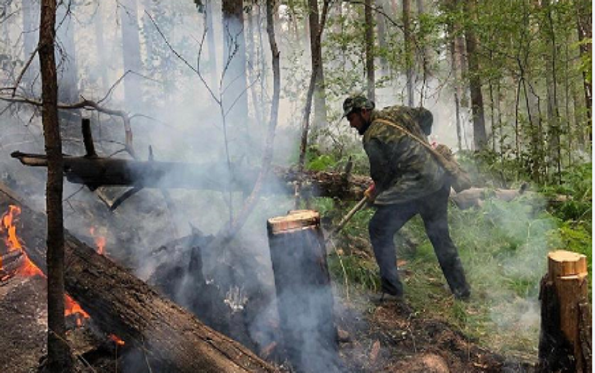 ТПП РБ оказала помощь при тушении лесных пожаров в Башкирии