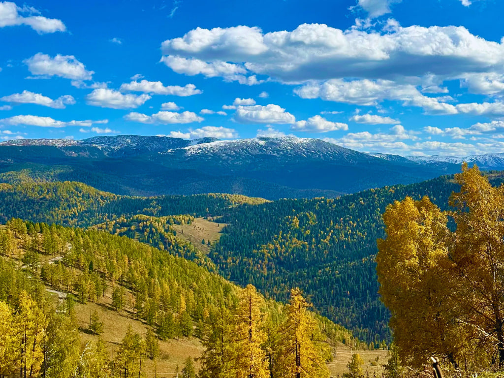 Где находится «Седьмое небо» и в какой локации строить дом на Алтае