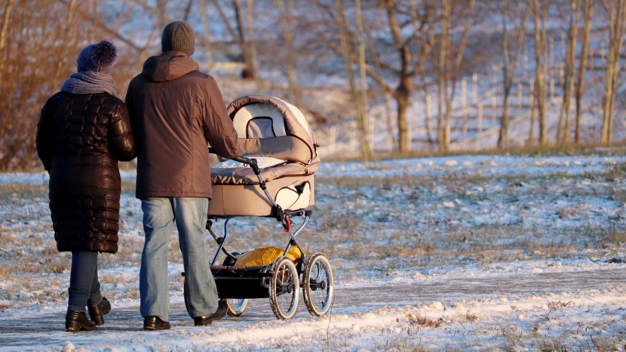 Фото: АНО «Институт демографического развития»