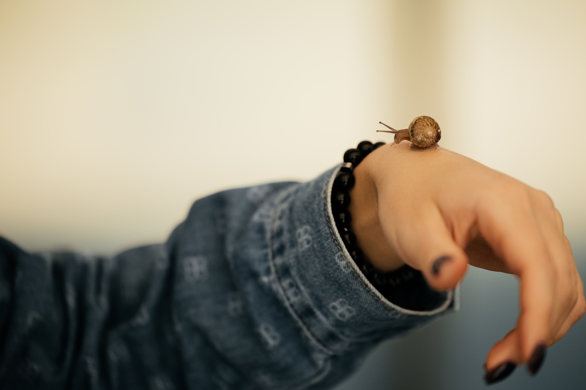 Фото: Александр Саенко