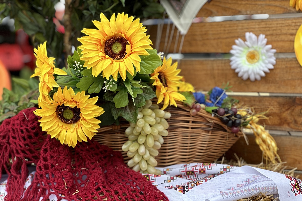 фото: РБК Юг и Северный Кавказ