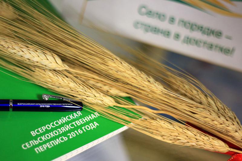 В Ростовской области завершилась сельхозперепись