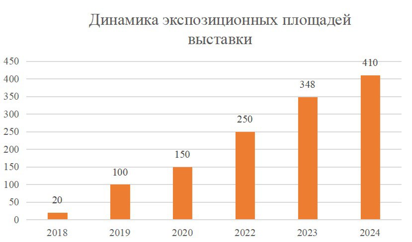 Как прошли «Янтарные выходные — 2024»