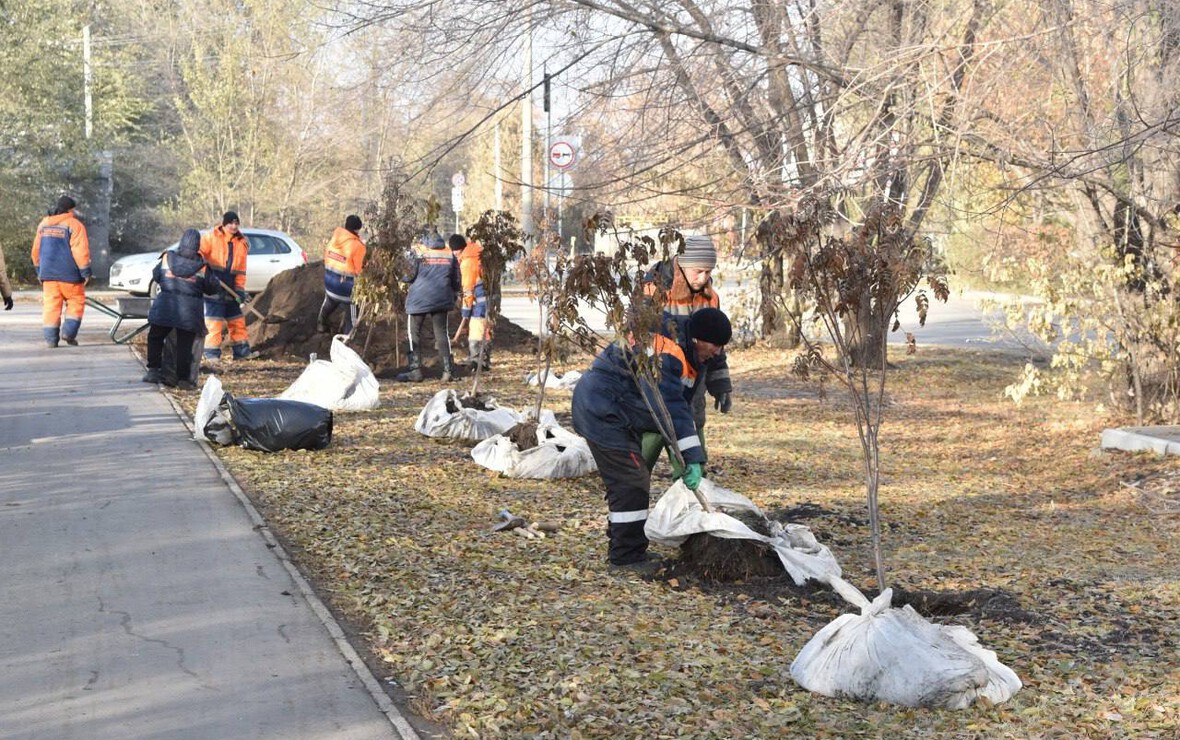 Фото: Сергей Сапоцкий