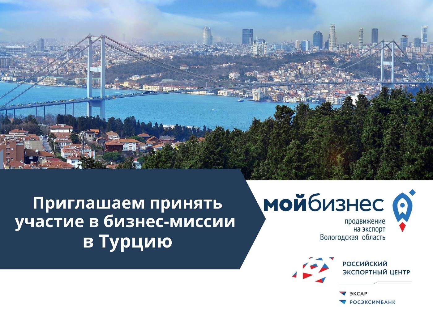 Предпринимателей Вологодчины приглашают на бизнес-миссию в Турцию