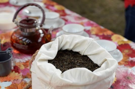 В Тюмени возрождают чайную отрасль. В планах – выход на китайский рынок 