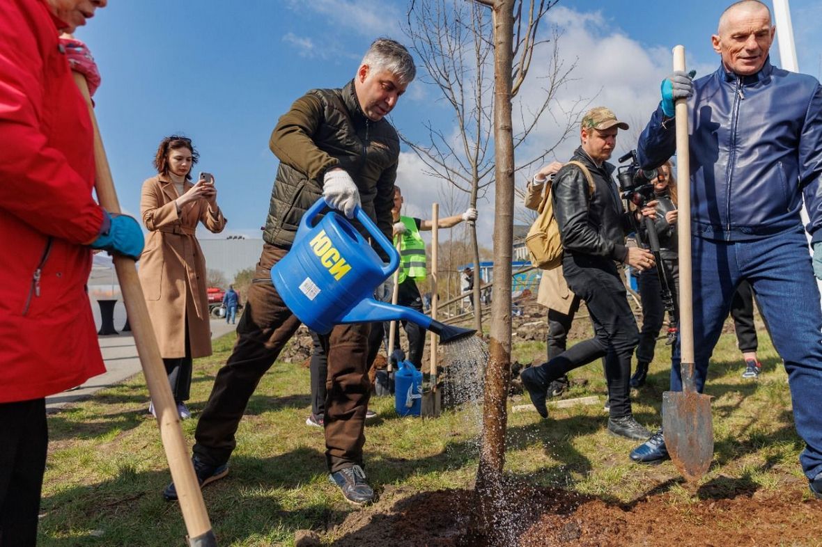 В Ростове-на-Дону высадили более 7500 растений в День древонасаждения