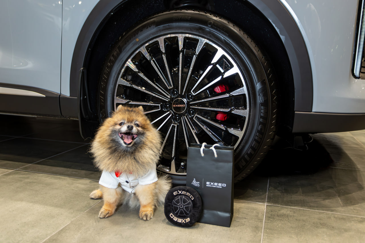 Программа pet friendly в ДЦ EXEED вышла на федеральный уровень