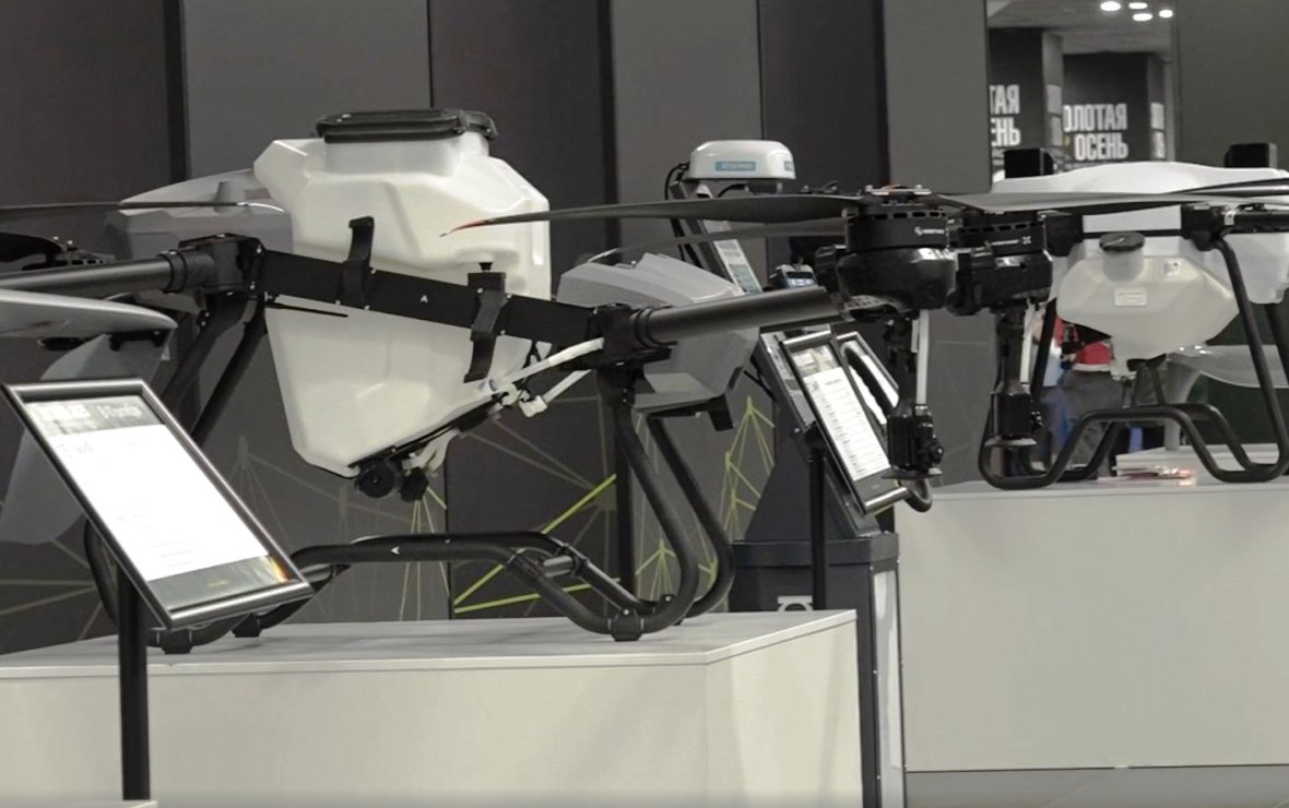 Фото: РБК Черноземье