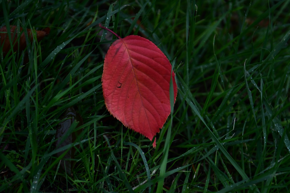 Фото: Глеб Садов