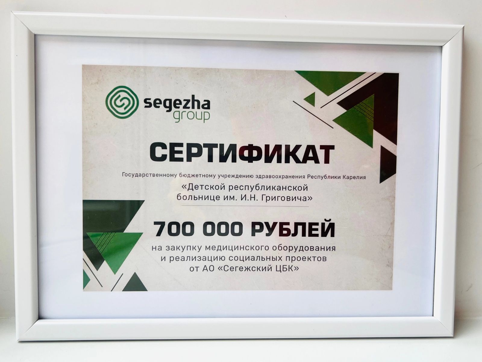 ГК «Сегежа» поддерживает Детскую республиканскую больницу в Карелии