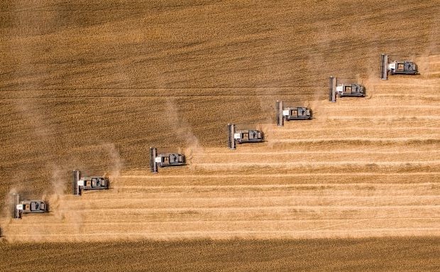 Агрохолдинг «СТЕПЬ» собрал рекордный урожай пшеницы