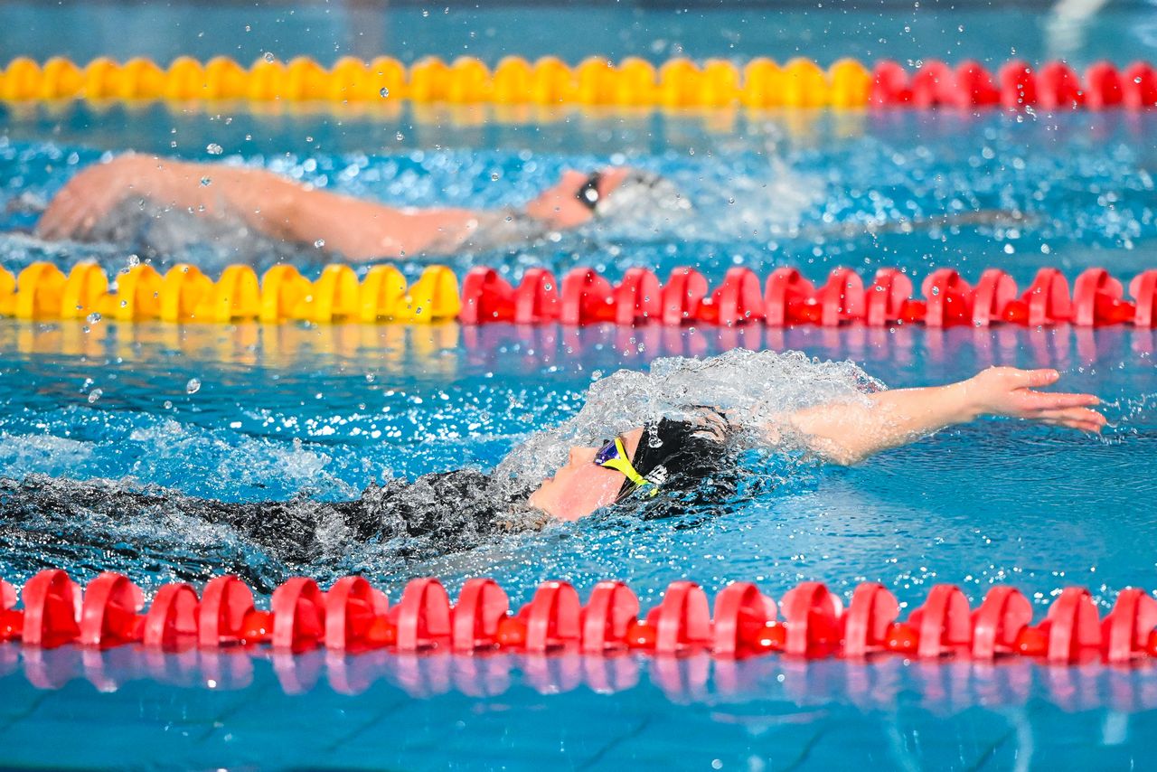 Автор фото: Владимир Горшков