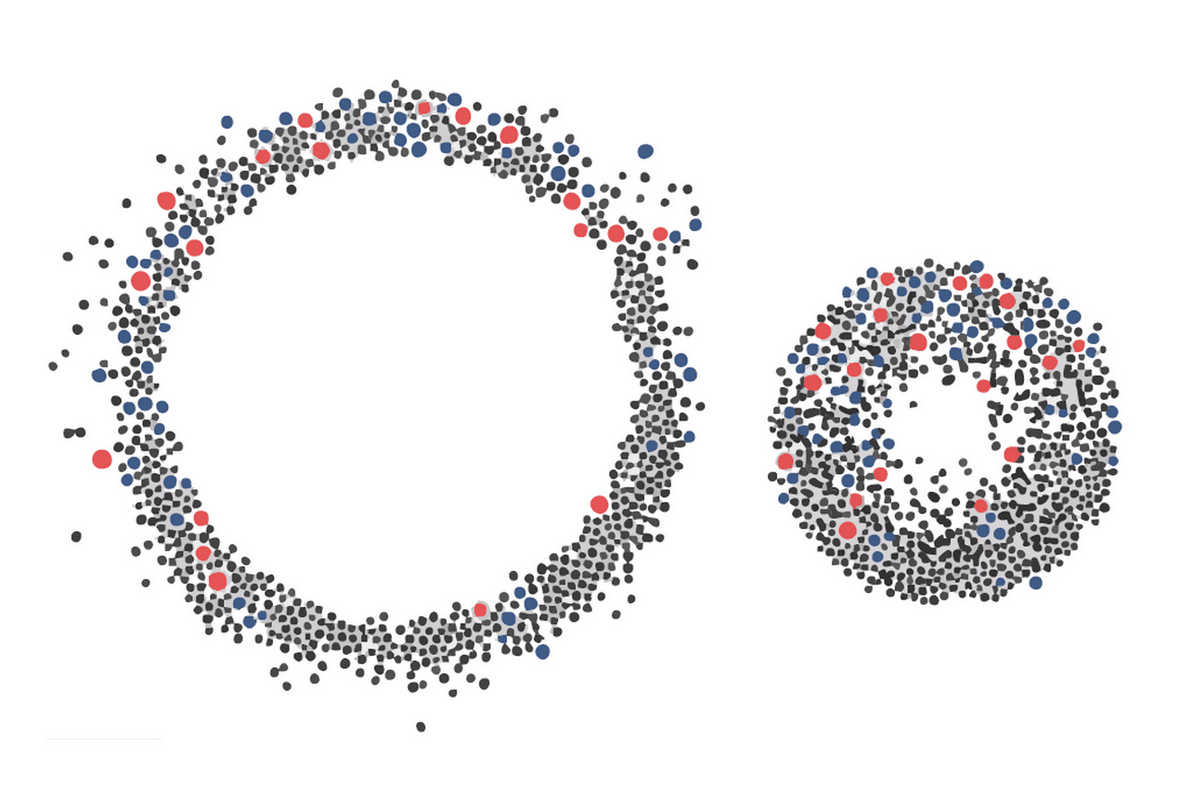 Фото: Матвей Иванов