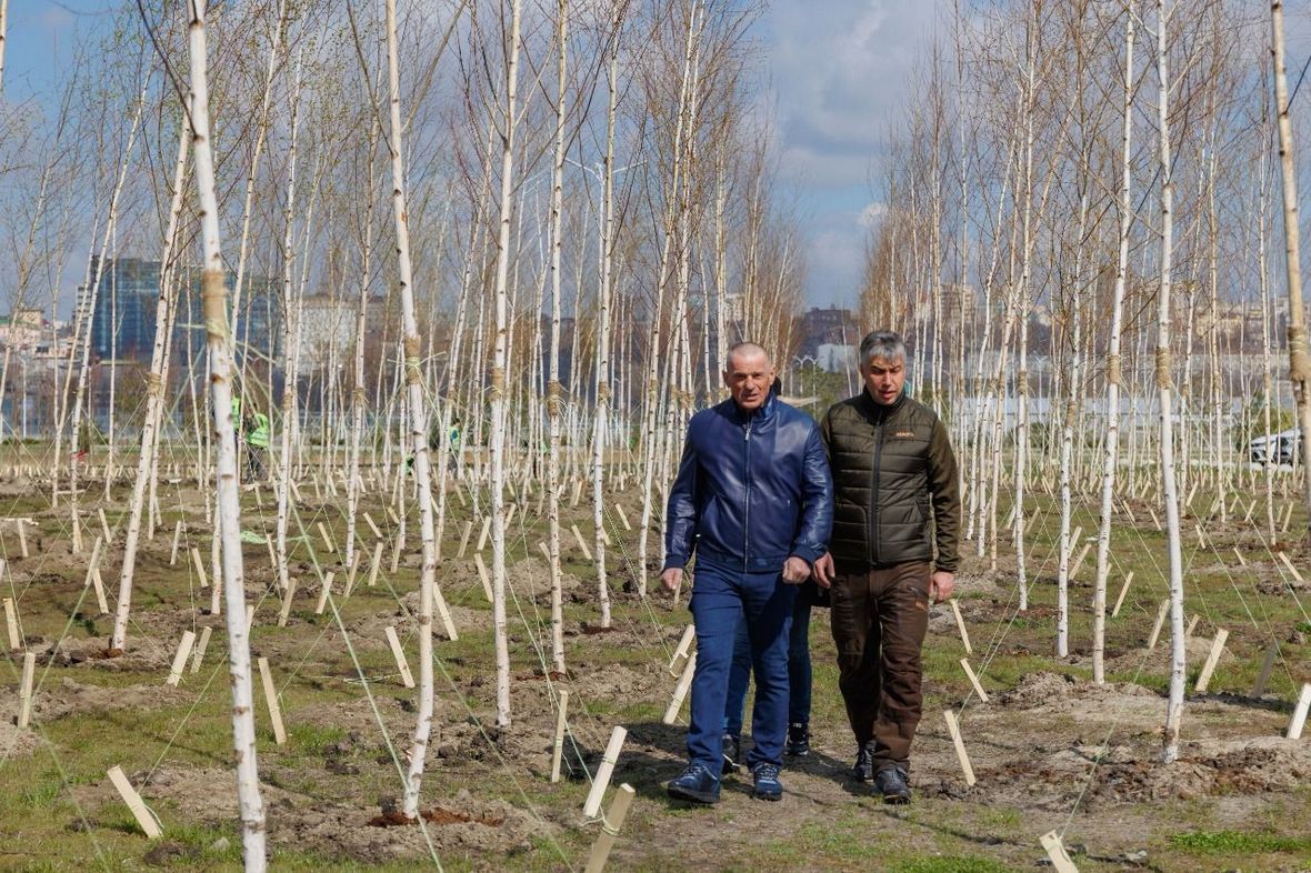 В Ростове-на-Дону высадили более 7500 растений в День древонасаждения