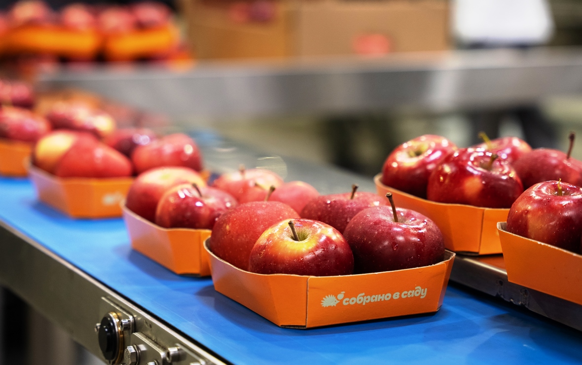 Фото: пресс-служба компании «Агроном-сад»