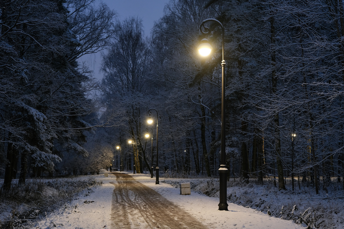 Подсветка парка Александрино