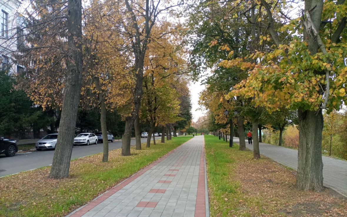 Фото: РБК Черноземье