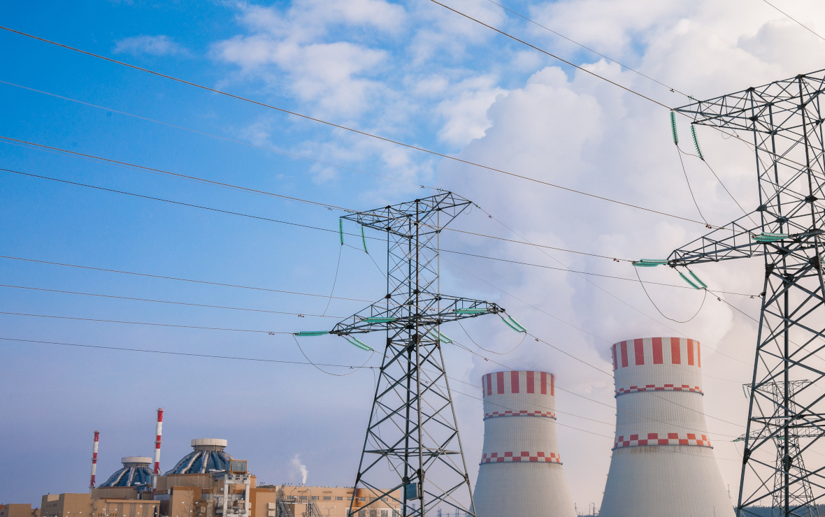 Фото: Ольга Мартынова