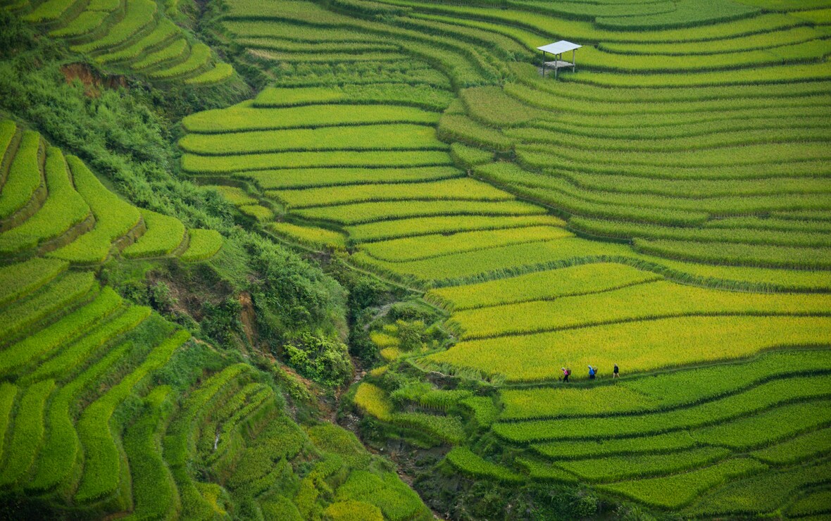 Фото: unsplash.com