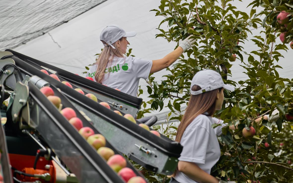 Фото: пресс-служба компании «Агроном-сад»