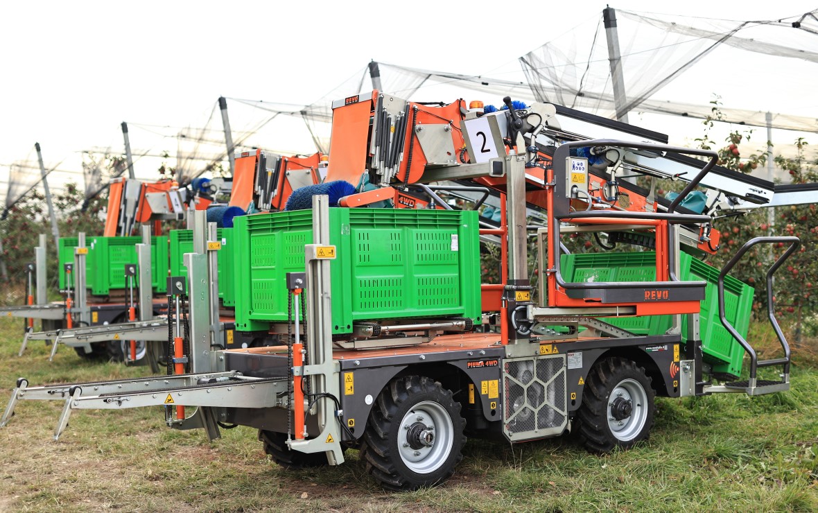 Фото: пресс-служба компании «Агроном-сад»