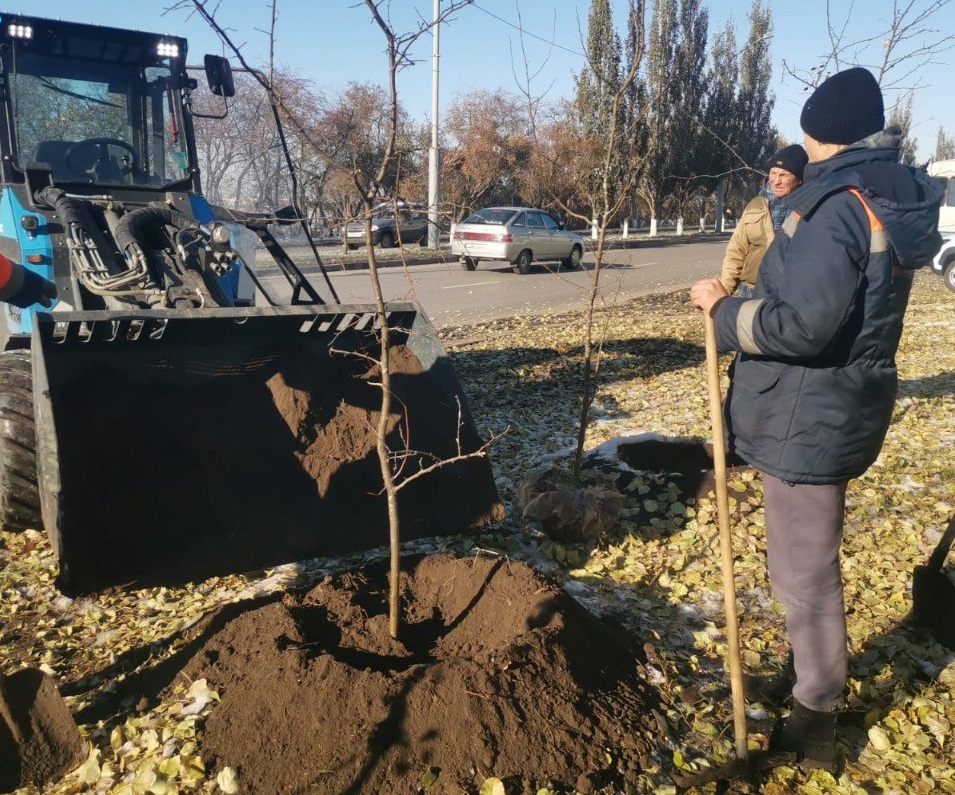 Фото: Администрация города Омска