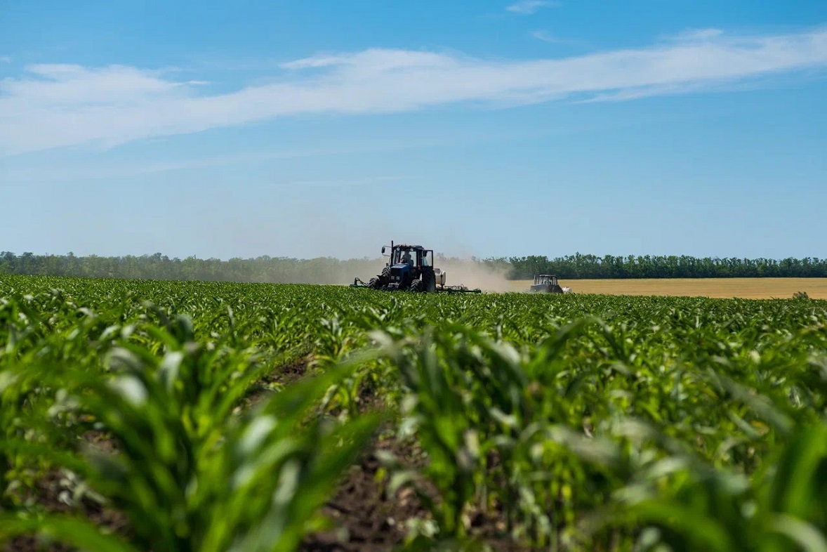 фото: агрохолдинг «Степь»
