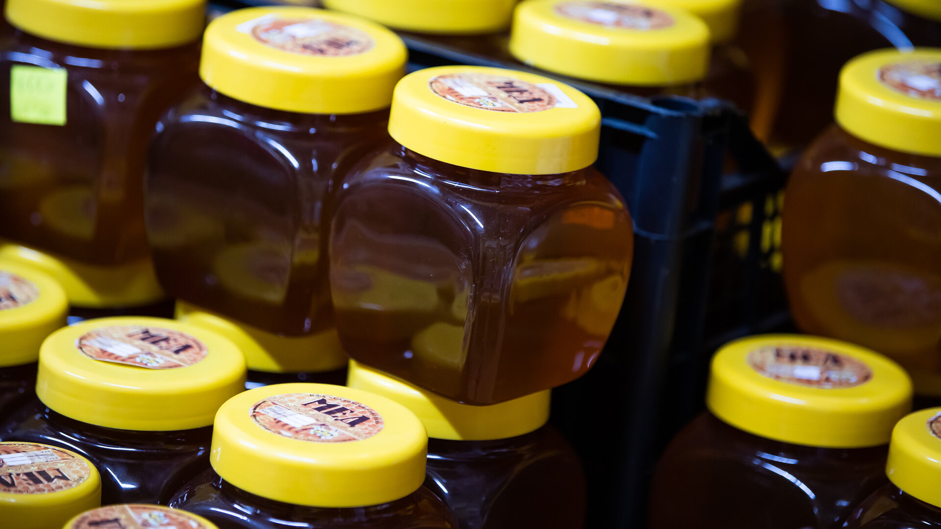 Как в Калининградской области производят мёд