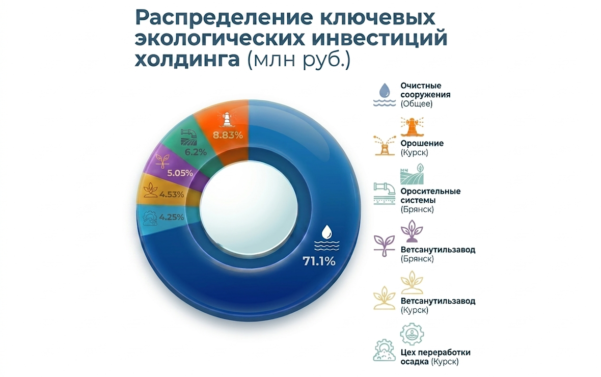 Инфографика: РБК Черноземье