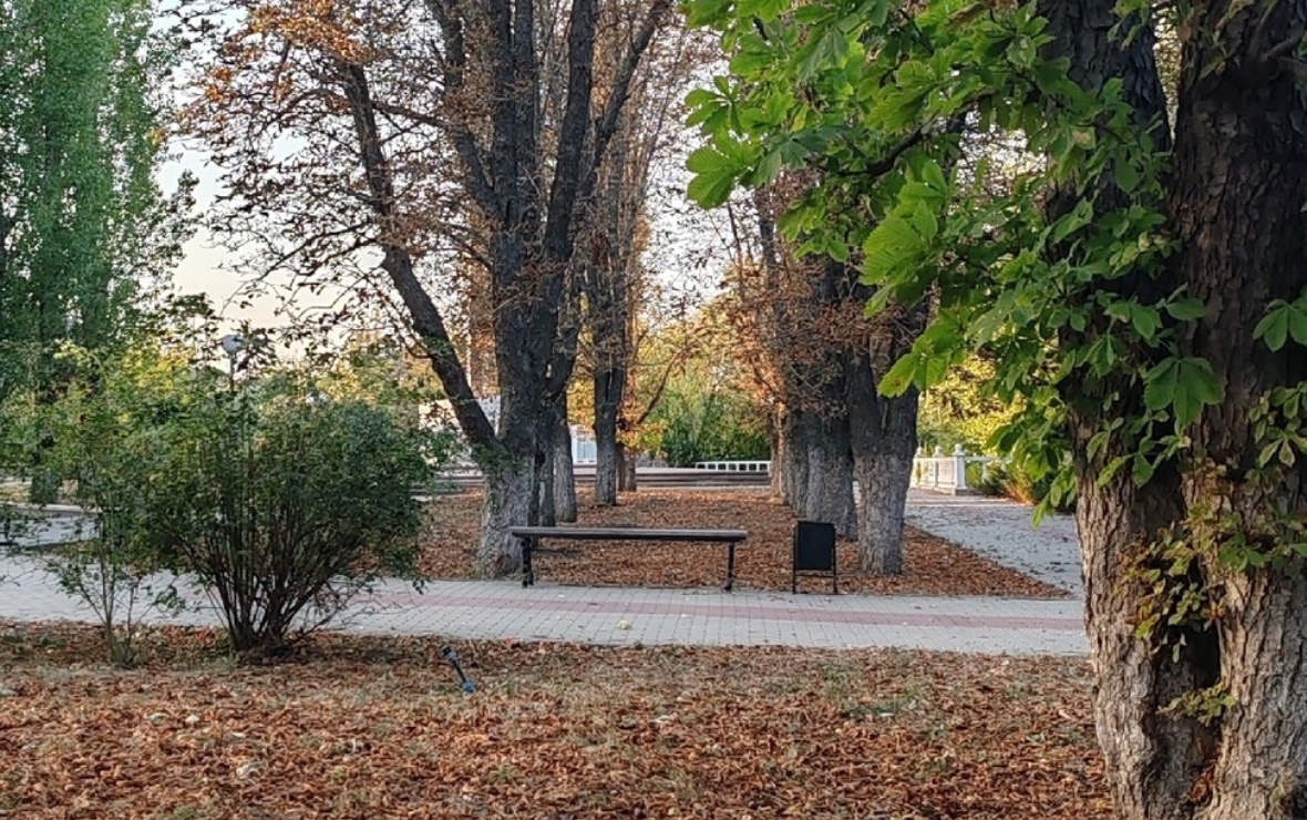 Фото: РБК Черноземье